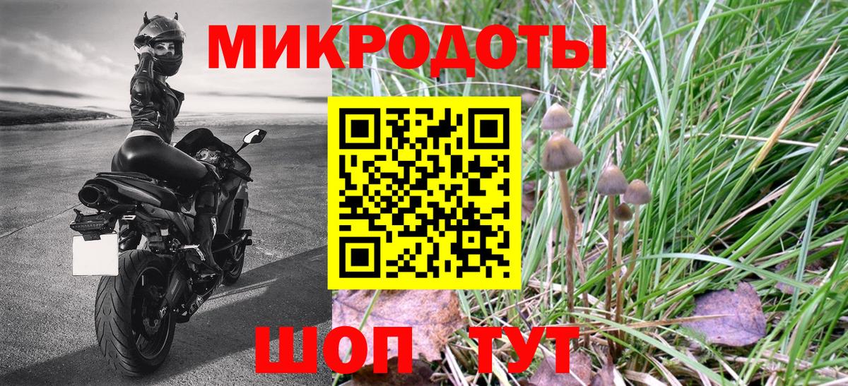 Пушкино  Галлюциногенные грибы Magic Shrooms  Вход с VPN 