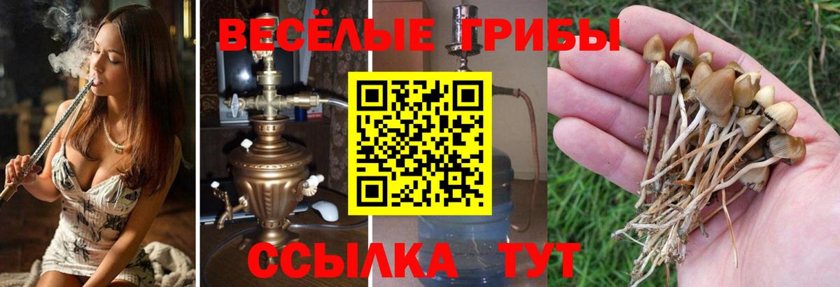Галлюциногенные грибы мицелий Пушкино